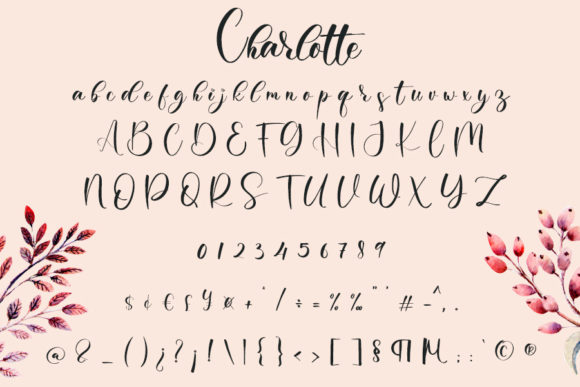 Charlotte Font Poster 4