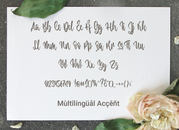 Charolista Font Poster 4