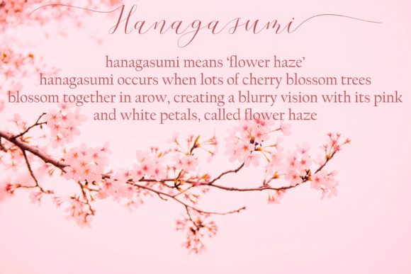 Cherry Blossom Script Font Poster 2