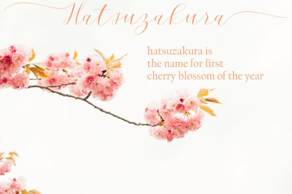 Cherry Blossom Script Font Poster 3