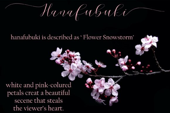 Cherry Blossom Script Font Poster 4