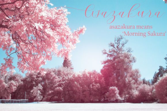 Cherry Blossom Script Font Poster 5