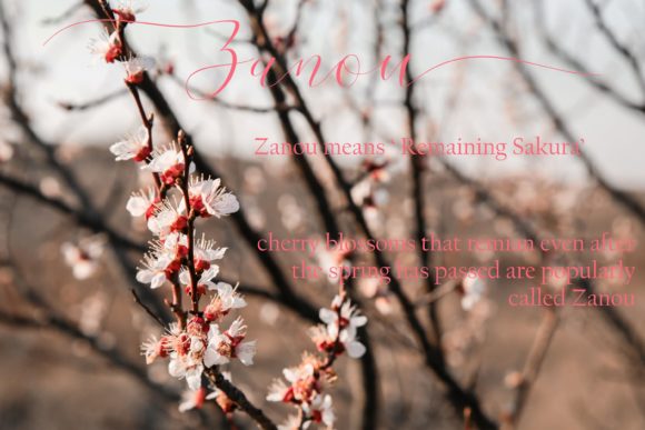 Cherry Blossom Script Font Poster 6
