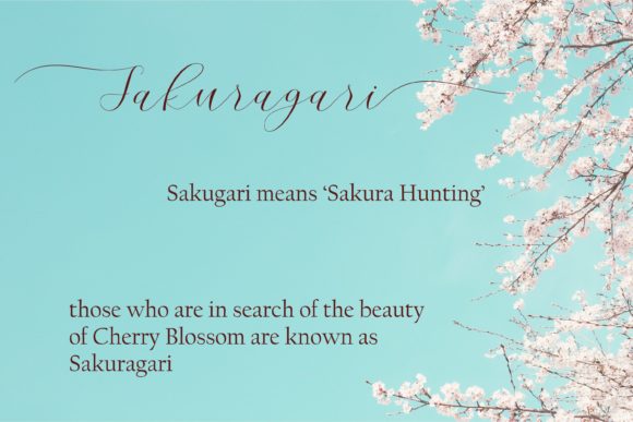 Cherry Blossom Script Font Poster 7