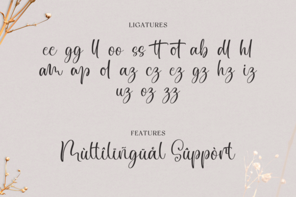 Chiquetta Font Poster 11