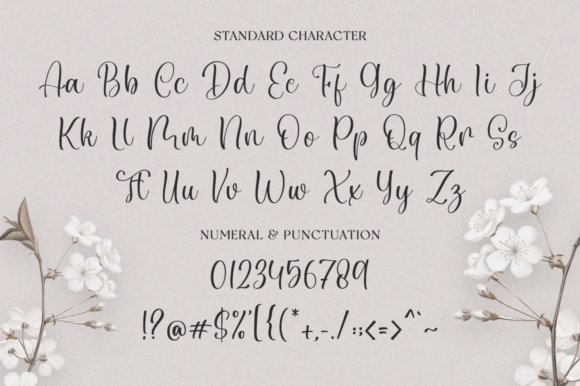 Chiquetta Font Poster 9