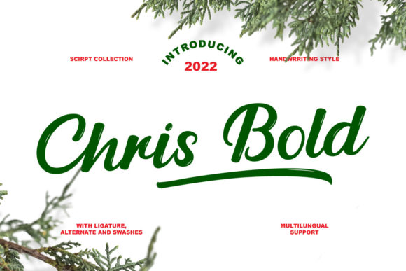 Chris Bold Font Poster 1
