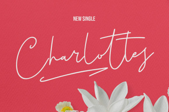 Christie Dianna Font Poster 5