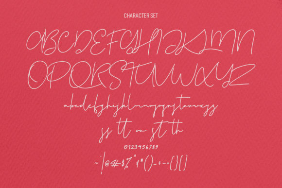 Christie Dianna Font Poster 7