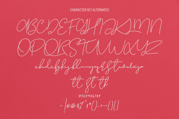 Christie Dianna Font Poster 8