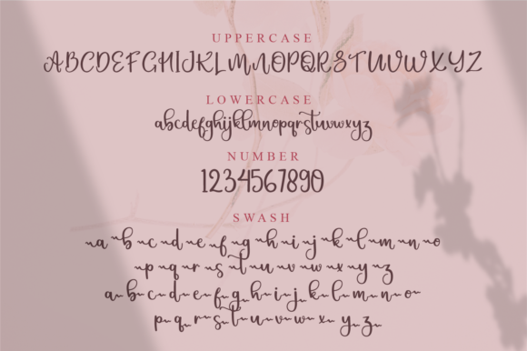 Christin Font Poster 8