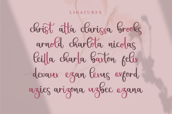 Christin Font Poster 9