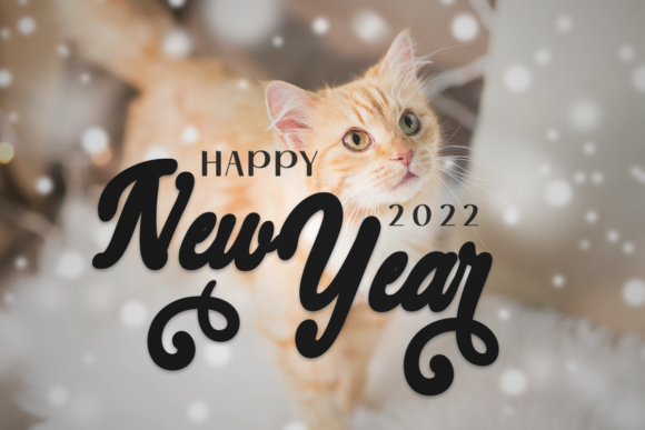 Christmas Cat Font Poster 6