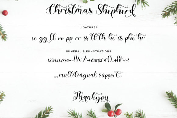 Christmas Shepherd Font Poster 9