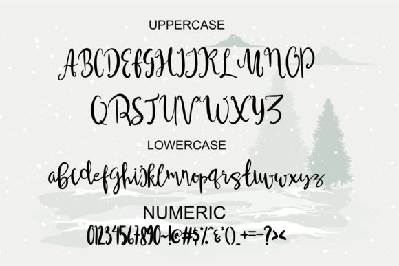 Christmas Wisdom Font Poster 6