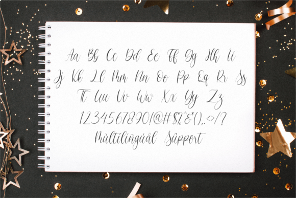 Christmasfest Font Poster 8