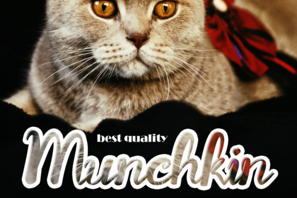 Chunky Font Poster 6