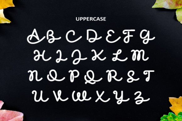 Cinthia Font Poster 7