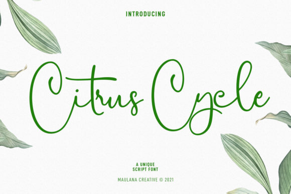 Citrus Cycle Script Font Poster 1