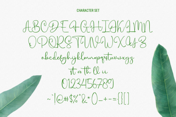 Citrus Cycle Script Font Poster 8