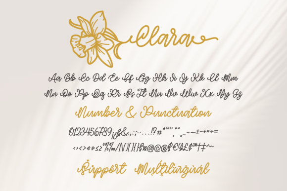 Clara Birth Flower Font Poster 5