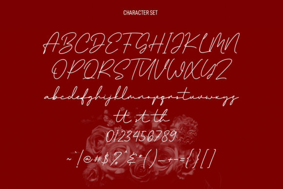 Coflocks Script Font Poster 8