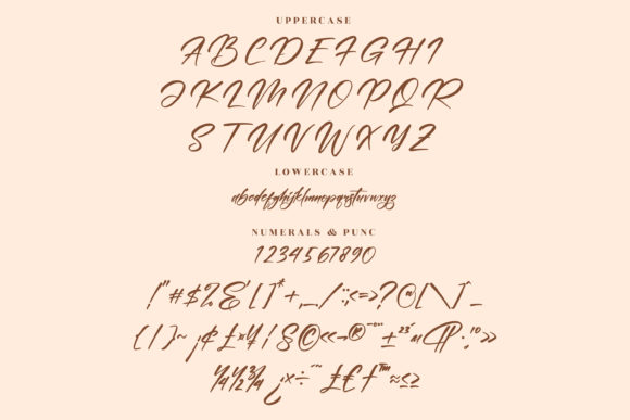 Constalica Font Poster 13