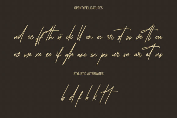 Coopslight Font Poster 9