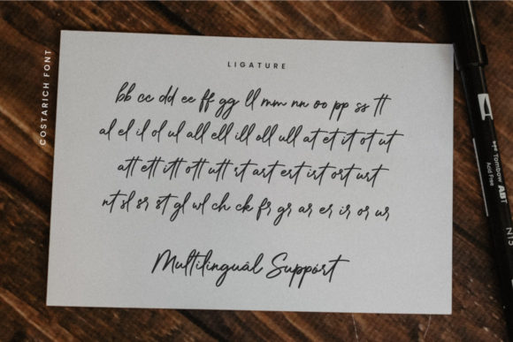 Costarich Font Poster 9