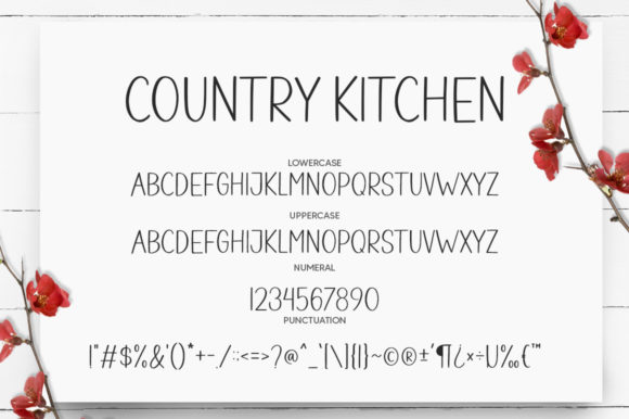 Country Kitchen Font Poster 7