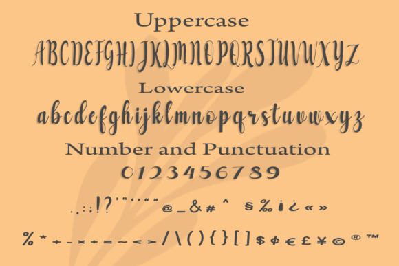Coverboy Font Poster 5