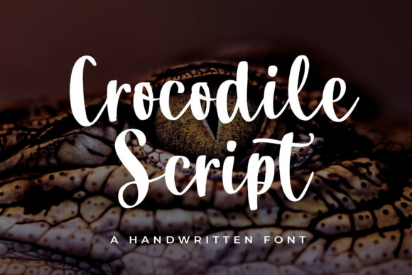 Crocodile Script Font Poster 1