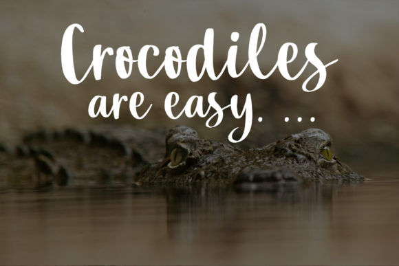 Crocodile Script Font Poster 6