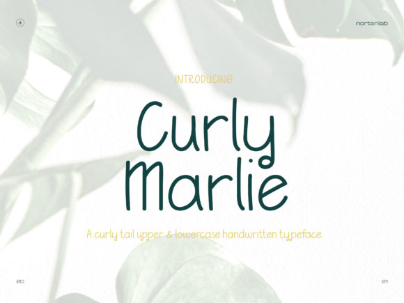 Curly Marlie Font Poster 1