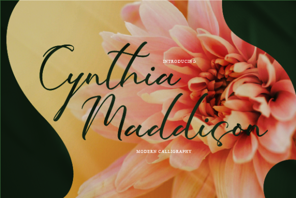 Cynthia Maddison Font