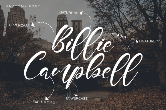 Dainford Font Poster 2