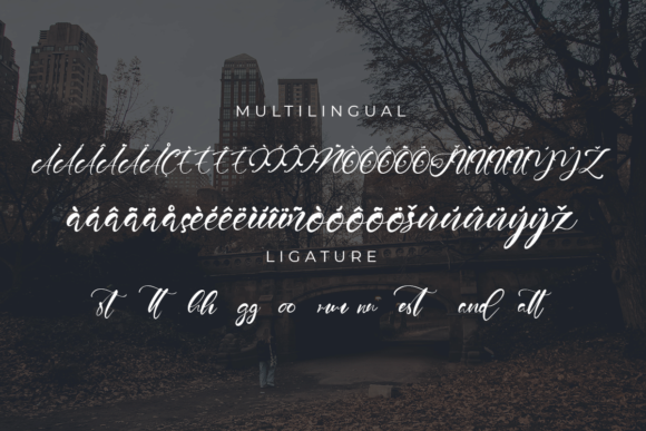 Dainford Font Poster 9