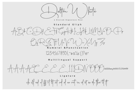 Dalton White Font Poster 10
