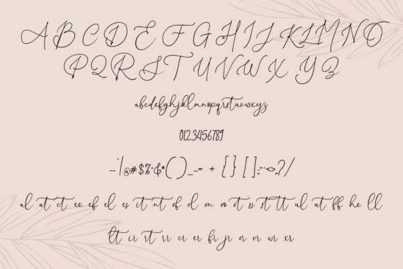 Damaru Font Poster 8
