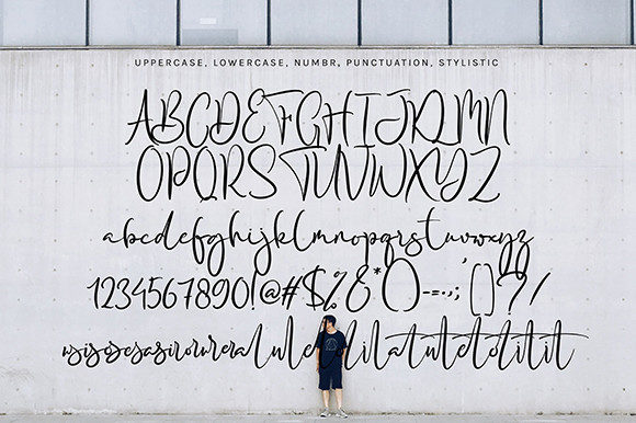 Darita Sent Font Poster 7