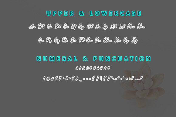 Daydara Font Poster 5