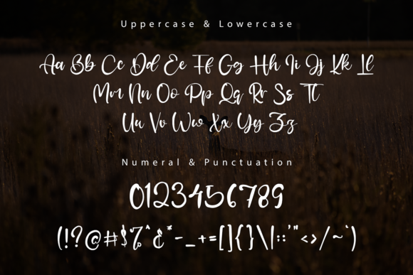Dear Jerman Font Poster 8