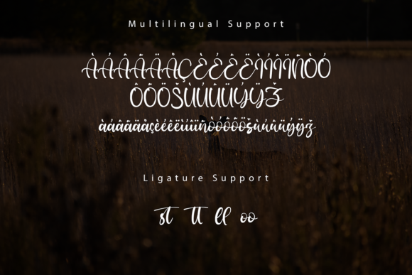 Dear Jerman Font Poster 9