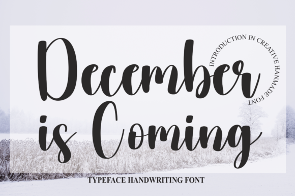 December is Coming Font Poster 1