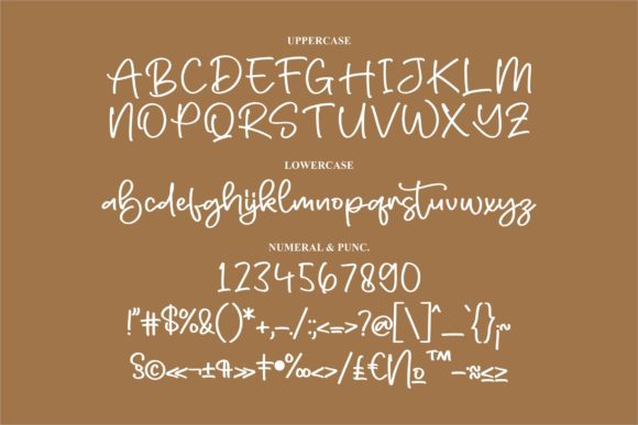 Delicius Mondy Font Poster 13