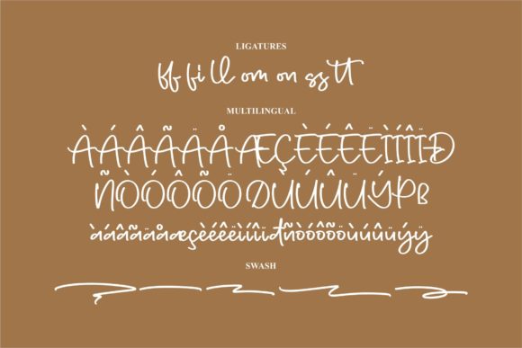Delicius Mondy Font Poster 14