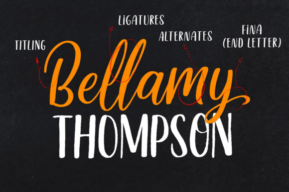 Delight Lettering Font Poster 2