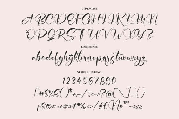 Delina Font Poster 13