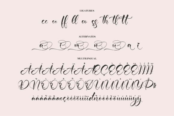 Delina Font Poster 14