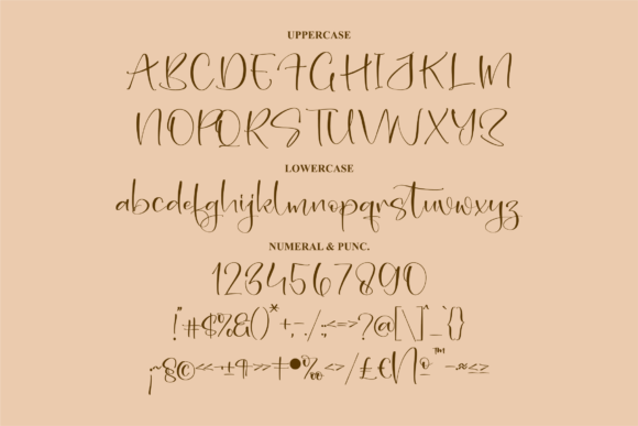 Delinsta Font Poster 13